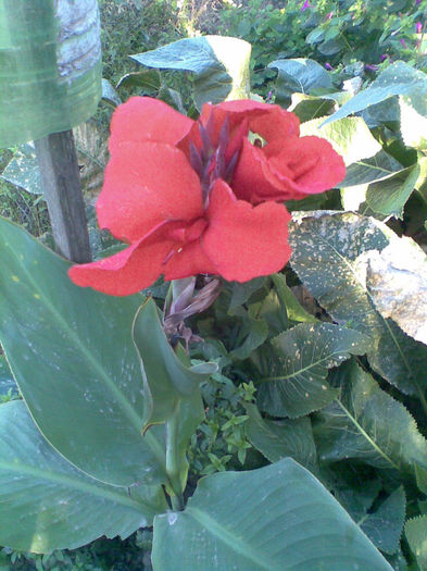 Imag048