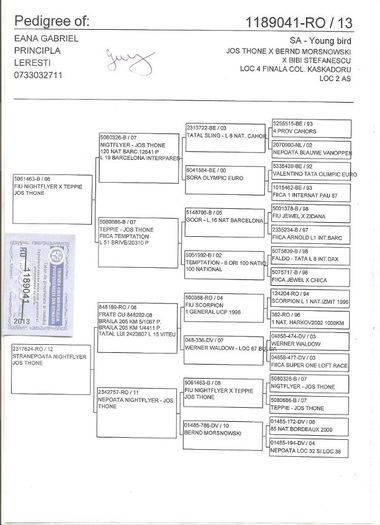Columbodrom-Kaskadoru-RO-1189041-2013-loc2-AS-pedigree[1] - achizitii porumbei 2013