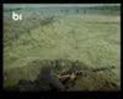 Portile Albastre Ale Orasului