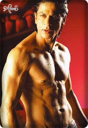Day 6-Shahrukh - 31 Days with hot indian actors