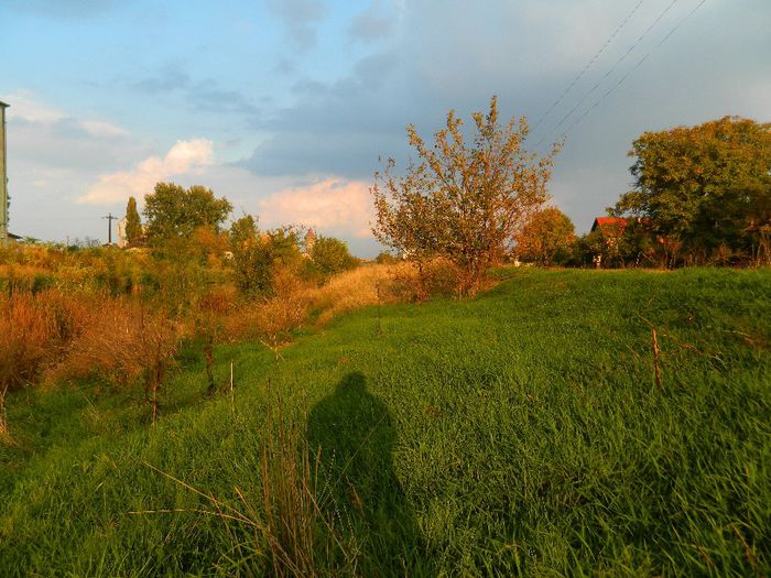 DSCN4380 - SPECTACOL CELEST