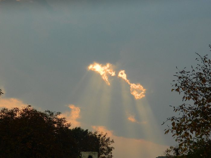 DSCN4417 - SPECTACOL CELEST