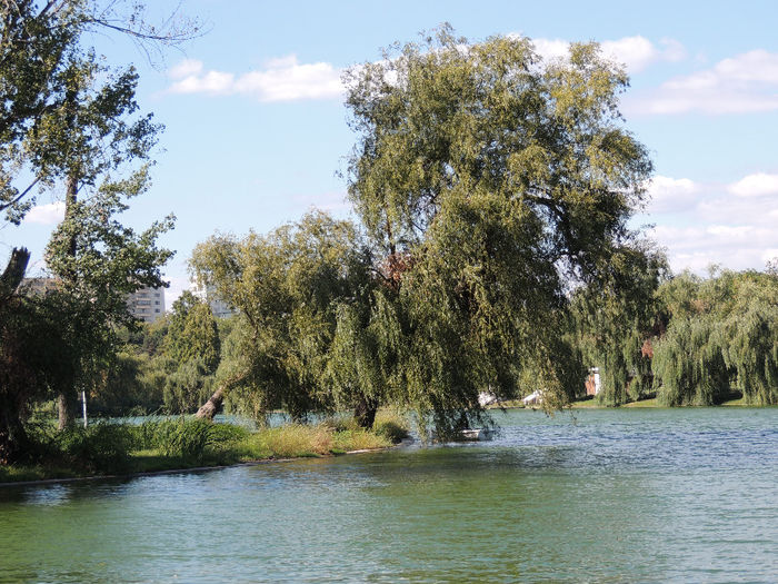 DSCN7584 - 2013 BUCURESTI PARCUL TINERETULUI