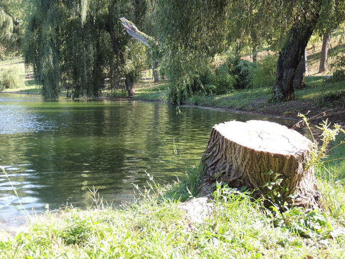 DSCN7644 - 2013 BUCURESTI PARCUL TINERETULUI