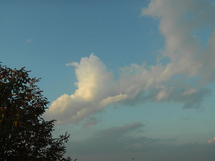 DSCN4532 - SPECTACOL CELEST