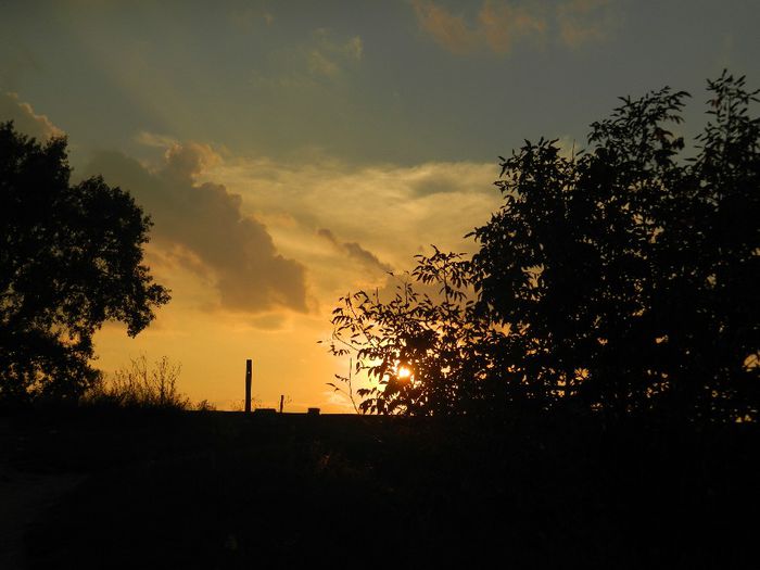 DSCN4534 - SPECTACOL CELEST