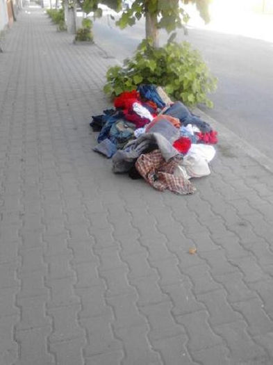 Fotografie0218 - album pestritz