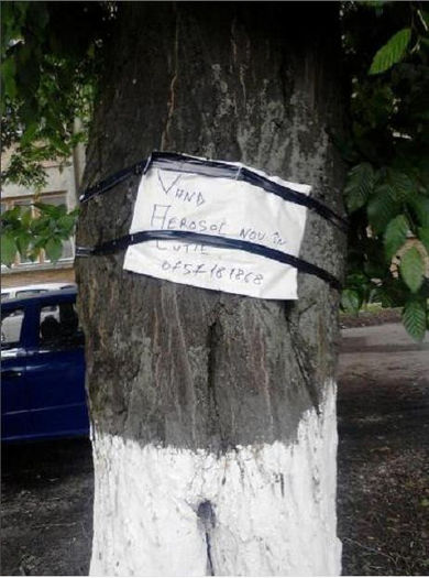 ad here - album pestritz