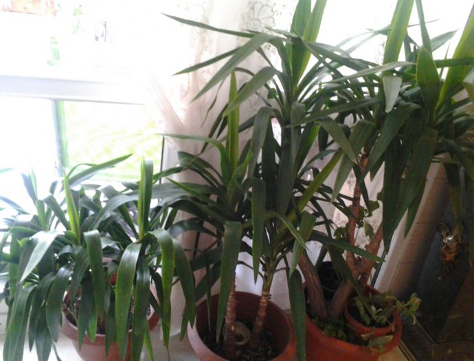 20131016_154810 - 11octombrie