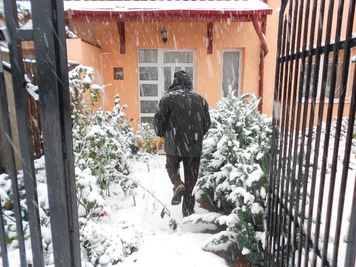 zàpada, 1 octombrie 2013