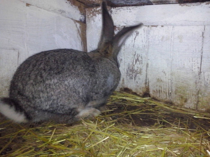 CAM00474 - 0 0 0  a 10 16 2013