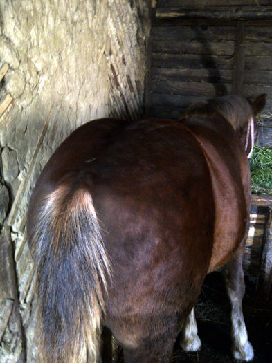 IMG-20131008-01148