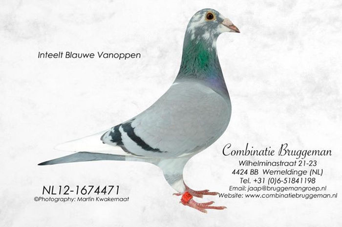 306610_498978746808077_1480923542_n - copia (2)