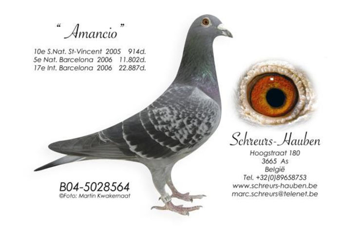 380374_438522532853699_1556061370_n - copia