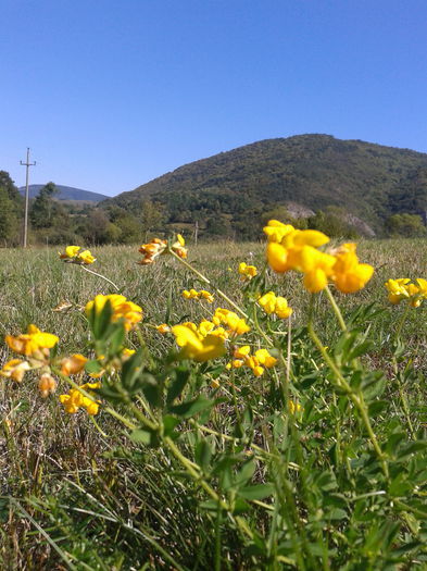 2013-09-08 15.21.25 - Fotografii 2013