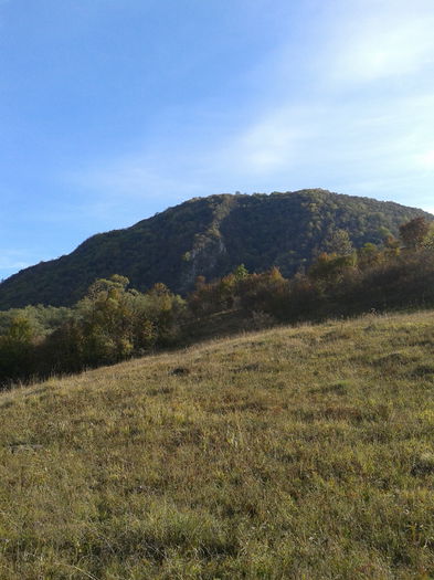 2013-10-06 16.18.53 - Fotografii 2013