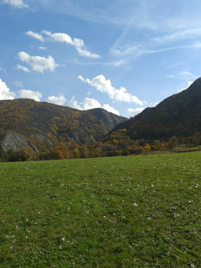 2013-10-13 13.50.47