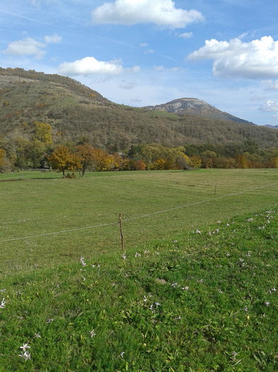 2013-10-13 13.46.11