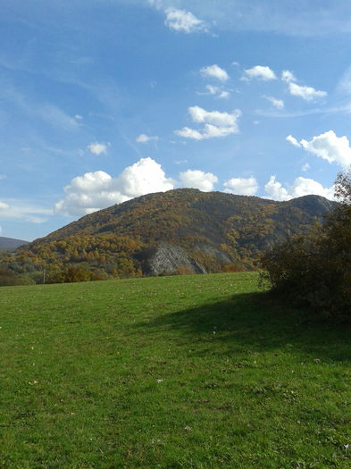 2013-10-13 13.50.14