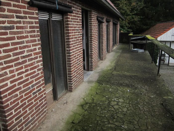 IMG_2871 - in viziata la     dr  peeters norbert as belgia