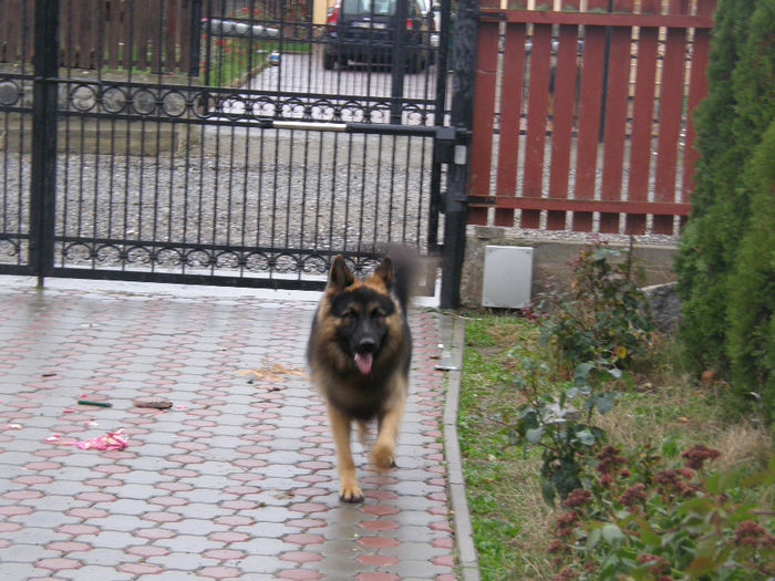 Jack la 1 an si 3 luni