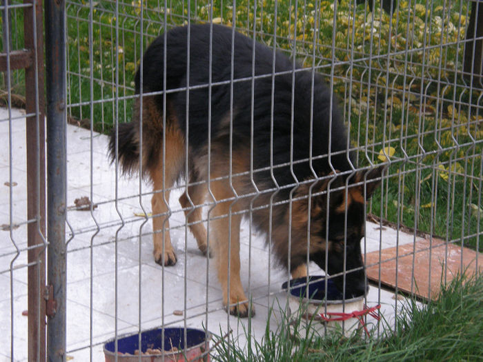 Jack la 1 an si 3 luni