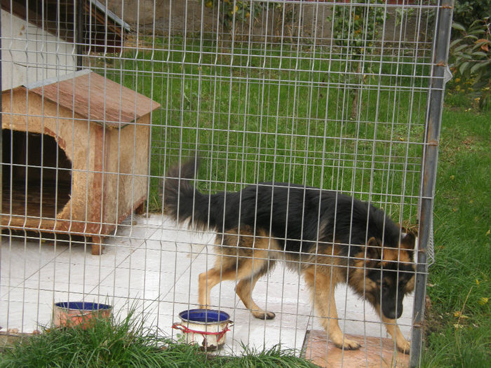 Jack la 1 an si 3 luni