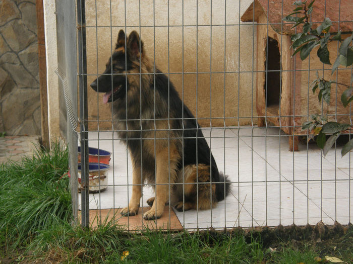 Jack la 1 an si 3 luni