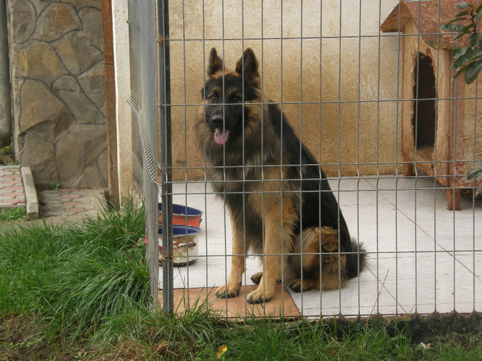 Jack la 1 an si 3 luni