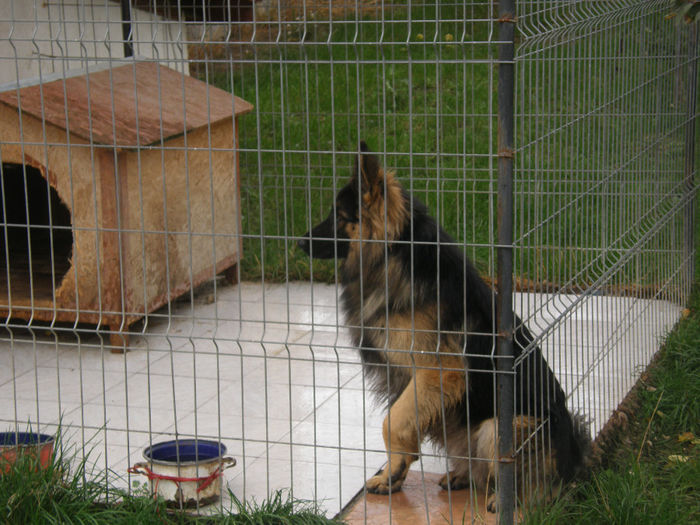 Jack la 1 an si 3 luni