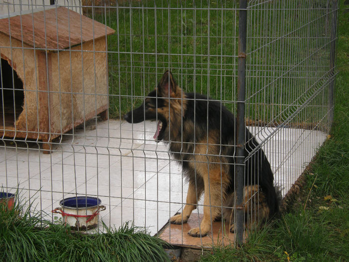 Jack la 1 an si 3 luni