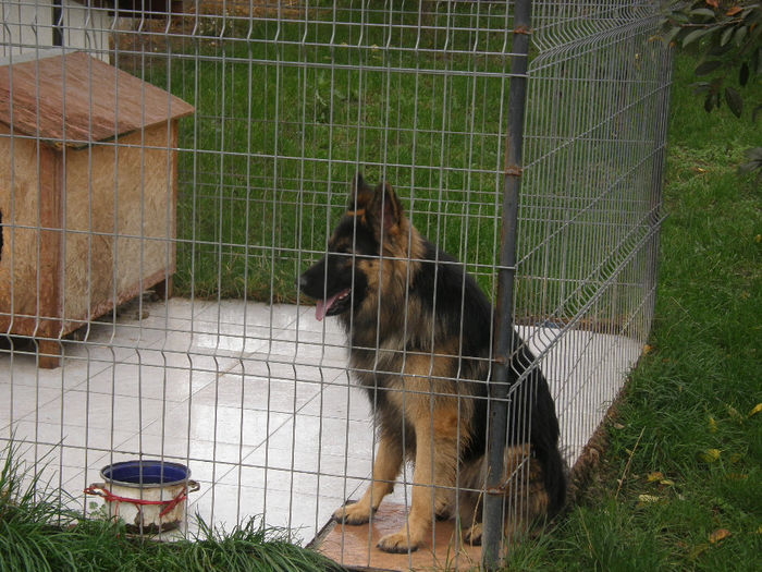 Jack la 1 an si 3 luni