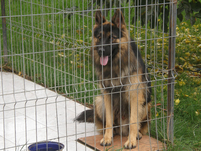 Jack la 1 an si 3 luni