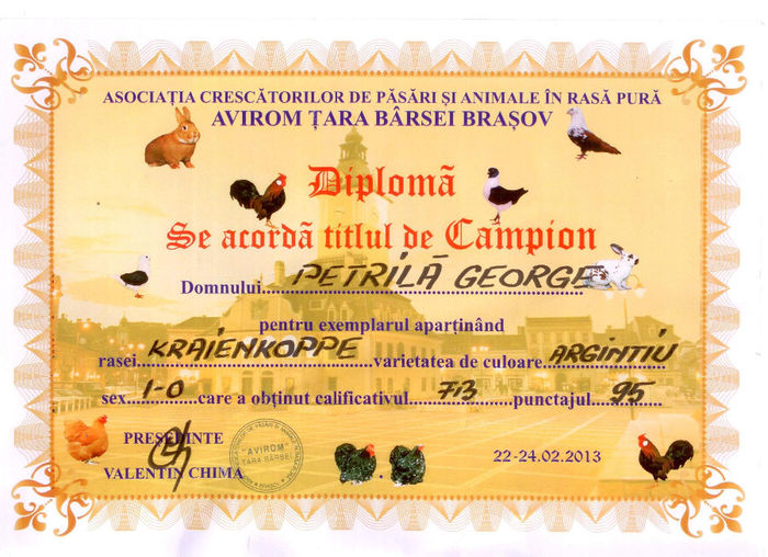 Diploma