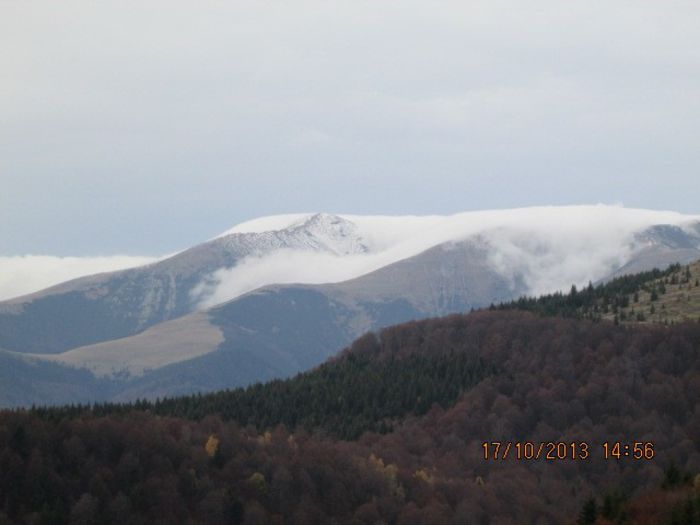 IMG_9962 - O mica plimbare pe Transalpina