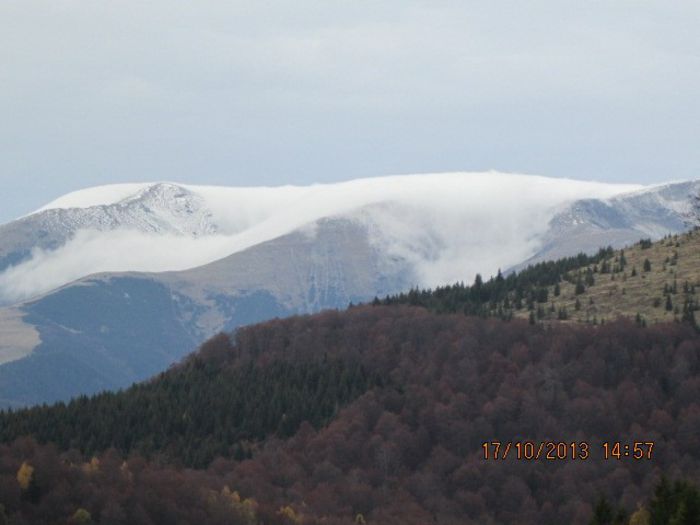 IMG_9964 - O mica plimbare pe Transalpina