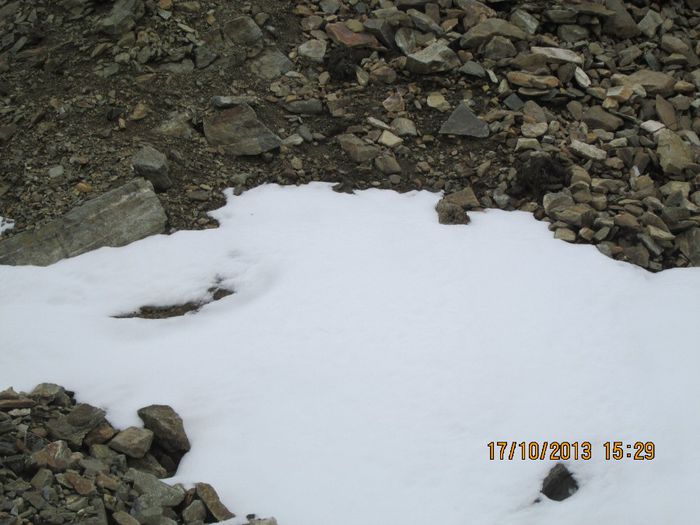 IMG_0053 - O mica plimbare pe Transalpina