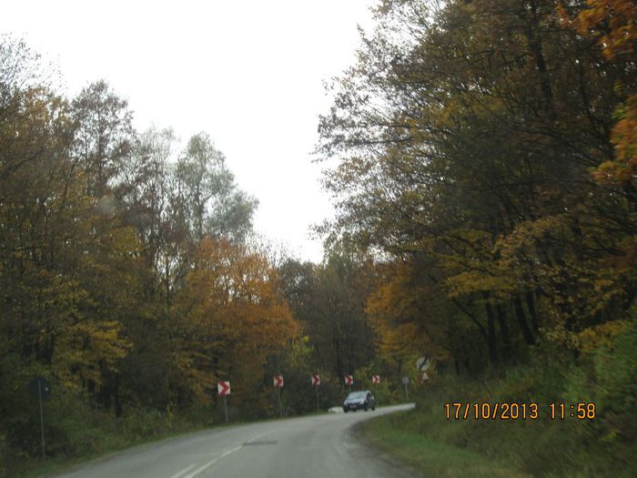 IMG_9850 - Culori de toamna