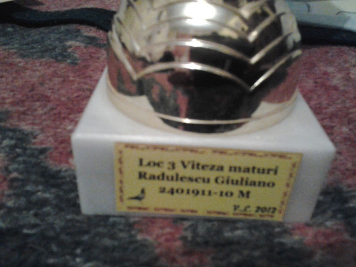 loc 3 viteza maturi