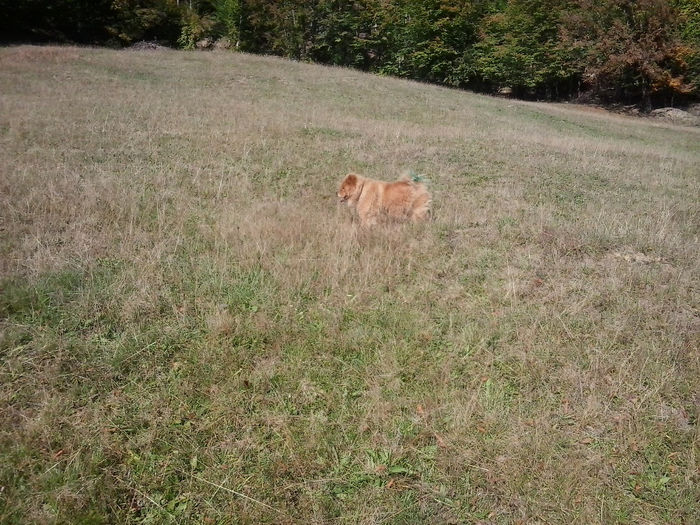 2013-10-07 15.07.40