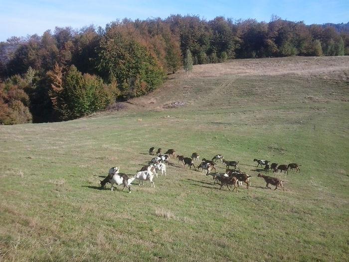 2013-10-07 15.57.56