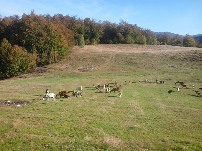 2013-10-07 16.00.24