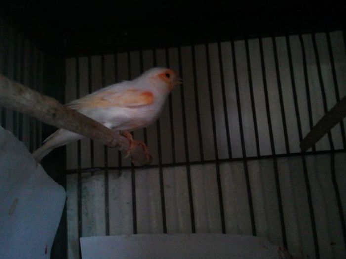 20131017_171914; Mascul
