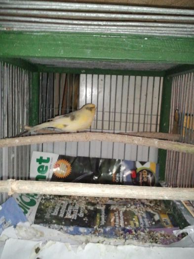 20131017_172114; Mascul
