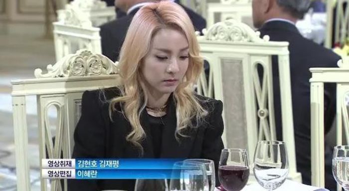 Sandara at PNoy state dinner in Korea