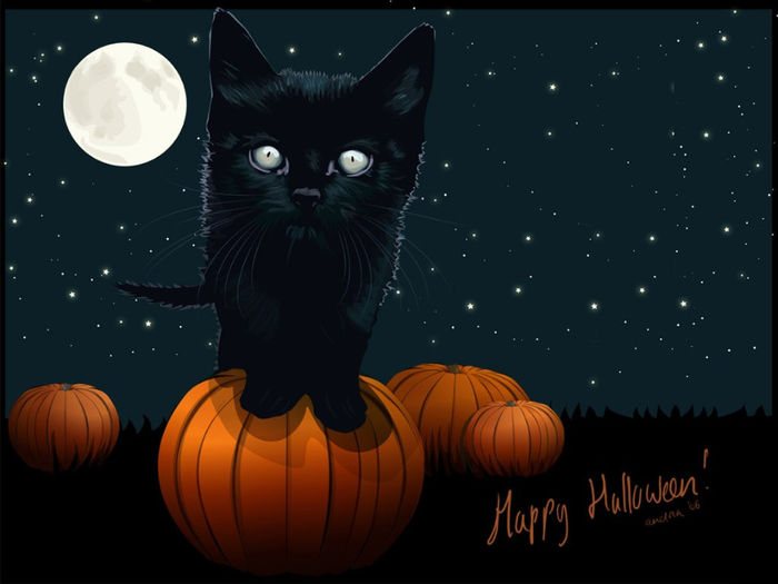 wallpaper1024ek9 - poze Halloween