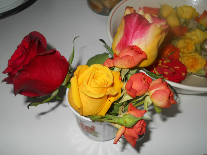 DSCN5208