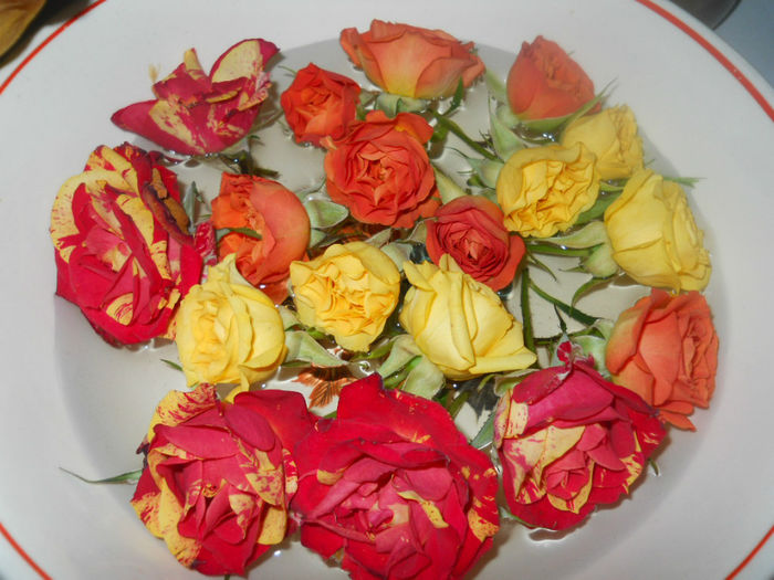 DSCN5209