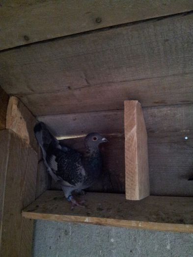 20131019_092012 - Voiajori 2013