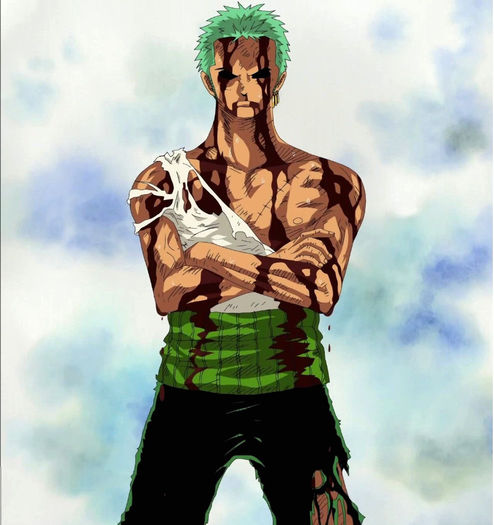 Zoro377 - One Piece